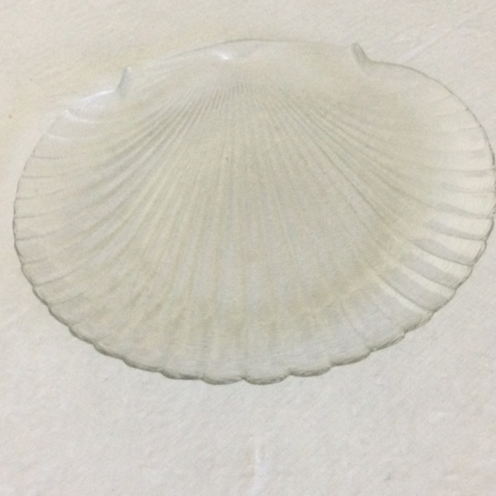Elegant Clear Glass Shell Plate